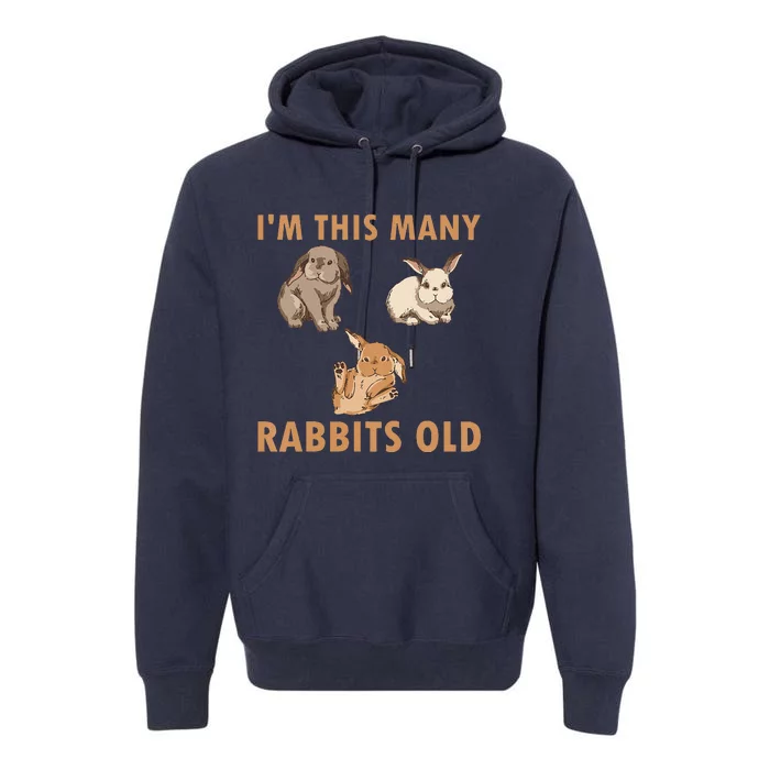 Funny 3 Year Old Bunny Rabbits Old 3rd Birthday Premium Hoodie