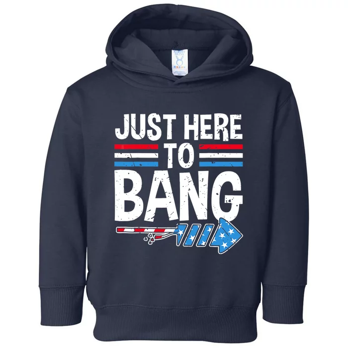 Funny 4th Of July Just Here to Bang Fireworks Toddler Hoodie