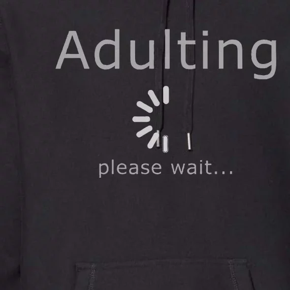 Funny Adult 18th Birthday Gift Idea Fun Present Premium Hoodie