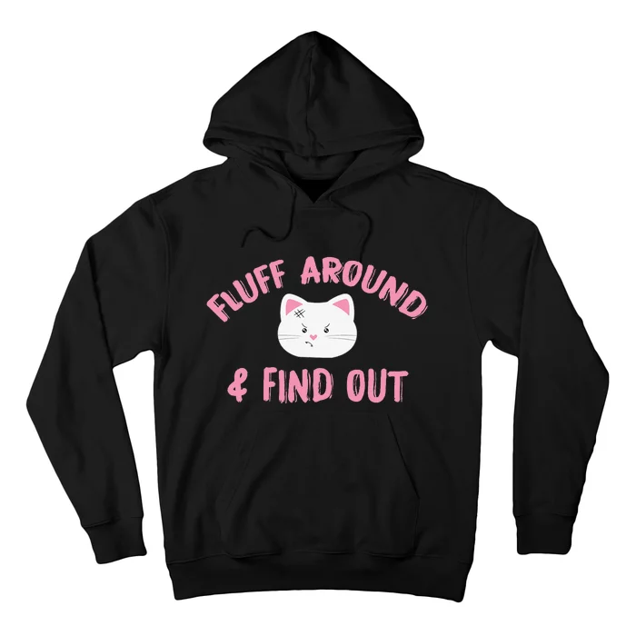 Fluff Around And Find Out Funny Cat Lover Cat Dad Cat Mom Hoodie