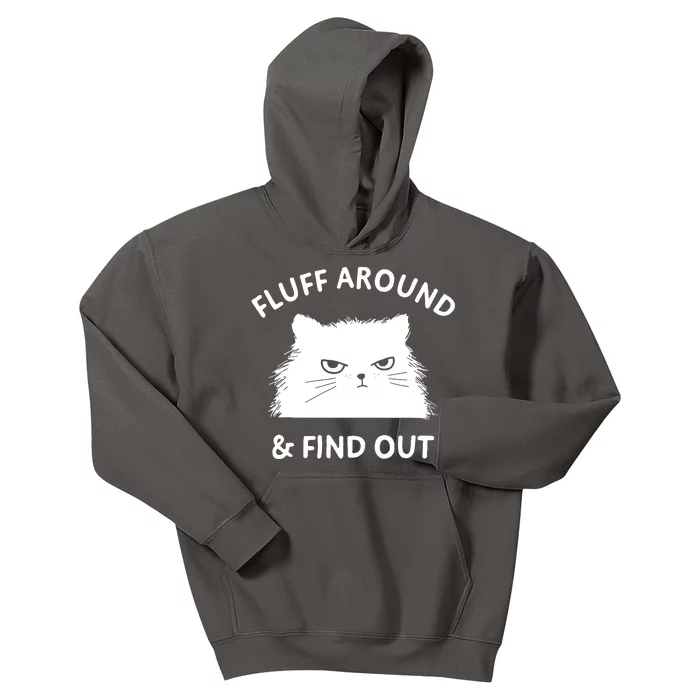 Fluff Around And Find Out Kids Hoodie