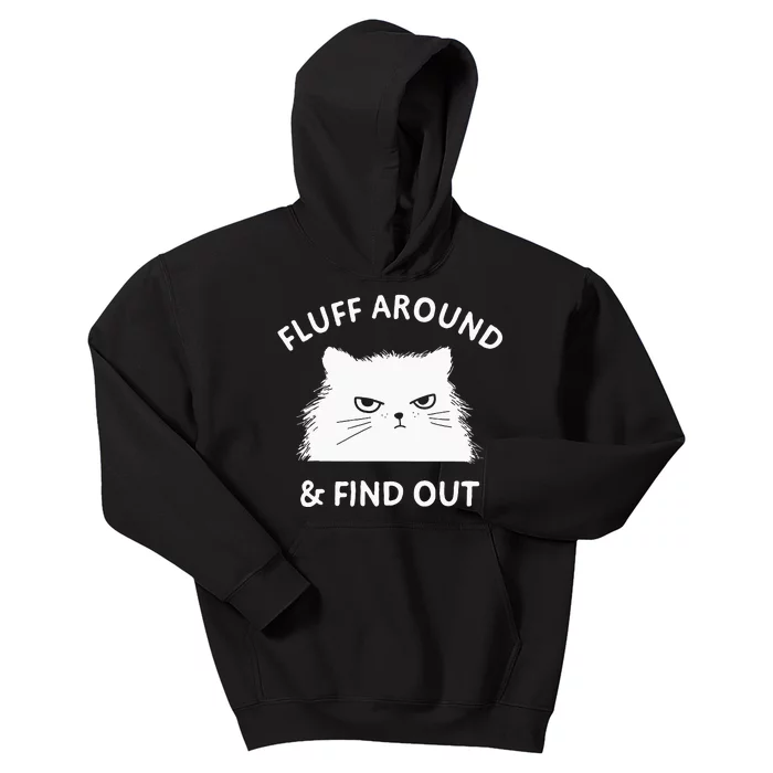 Fluff Around And Find Out Funny Cat Adult Humor Short Sleeve Kids Hoodie