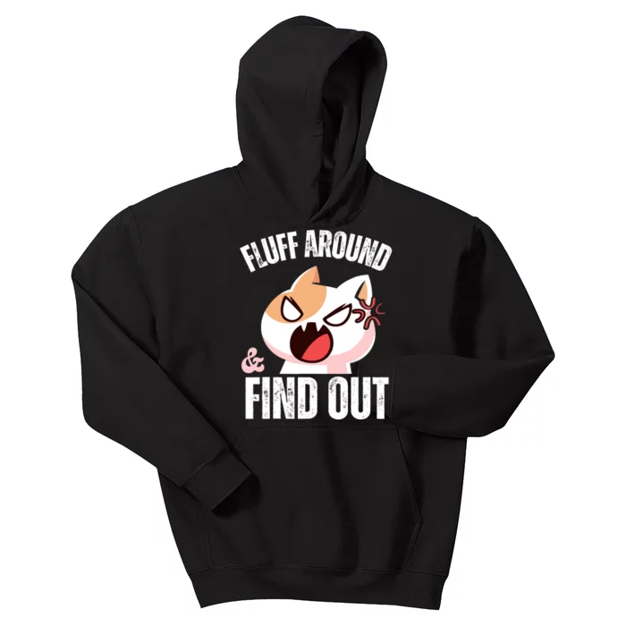 Fluff Around and find out Funny Sarcastic Cat Lady Kids Hoodie