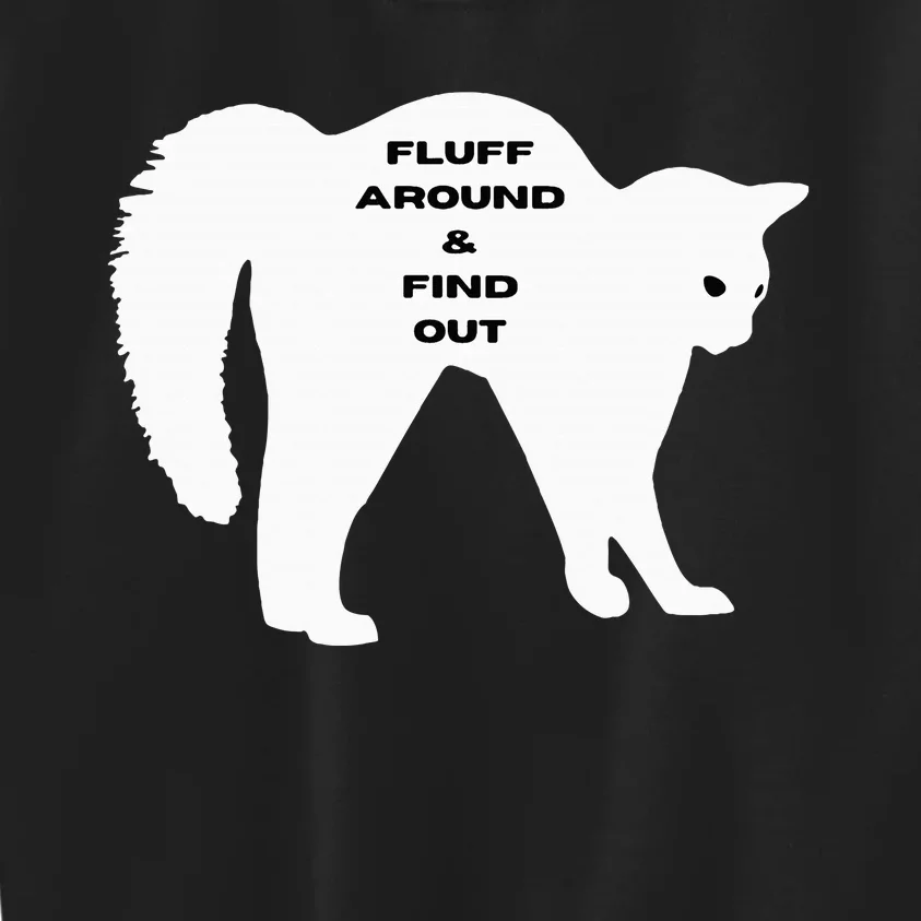 Fluff Around And Find Out Funny Cat Kids Sweatshirt