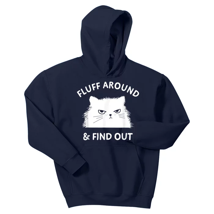 Fluff Around And Find Out Funny Cat Kids Hoodie