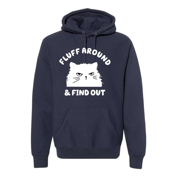 Fluff Around And Find Out Funny Angry Cat Premium Hoodie