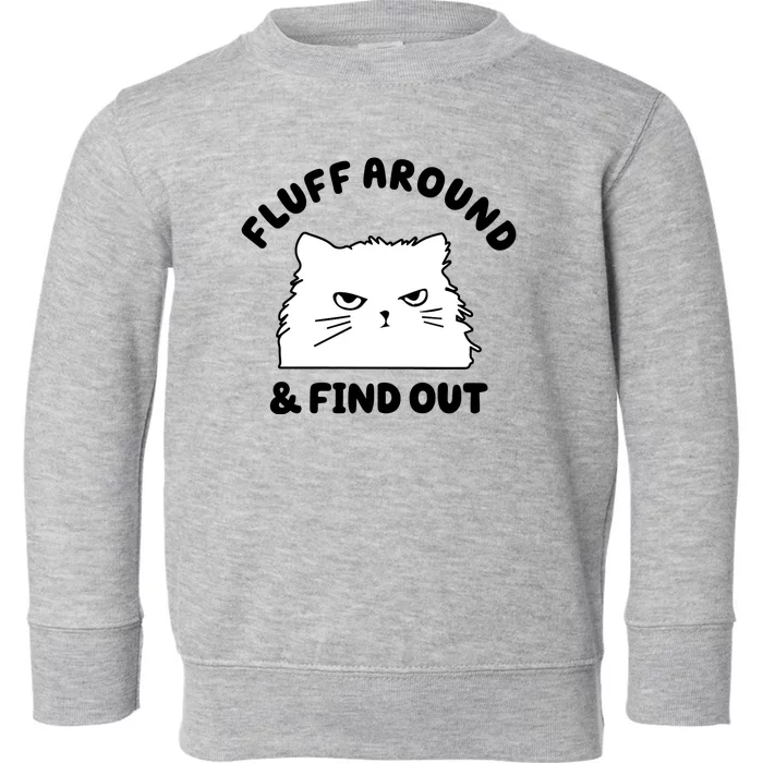 Fluff Around And Find Out Funny Angry Cat Toddler Sweatshirt