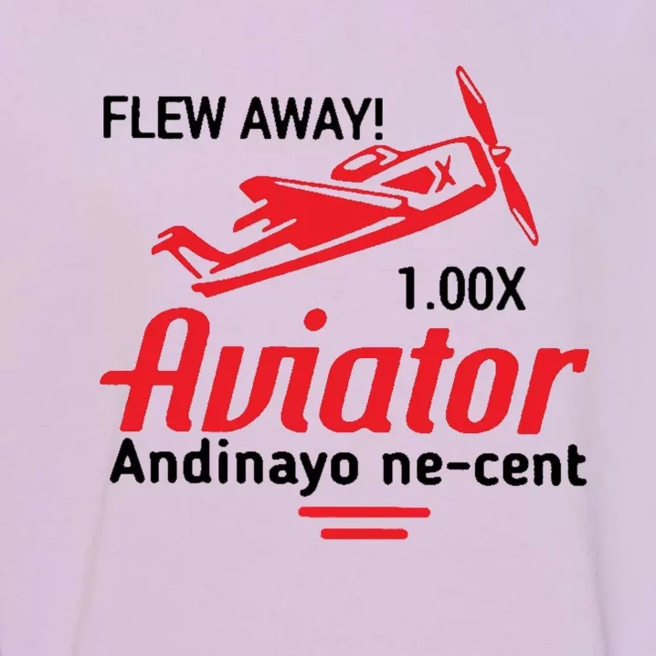 Flew Away Aviator Andinayo Ne Cent Garment-Dyed Sweatshirt