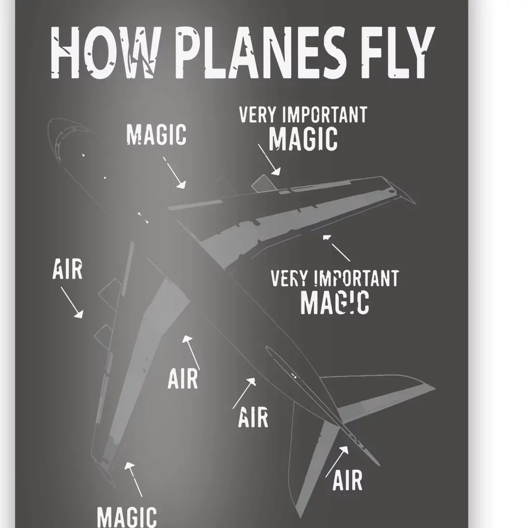 Funny Aviation Airplane Gift Pilot Poster