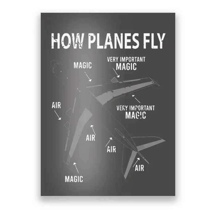 Funny Aviation Airplane Gift Pilot Poster