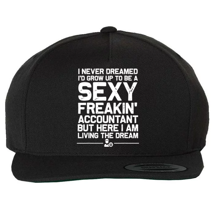 Funny Accountant Art For Men Women CPA Accounting Bookkeeper Wool Snapback Cap