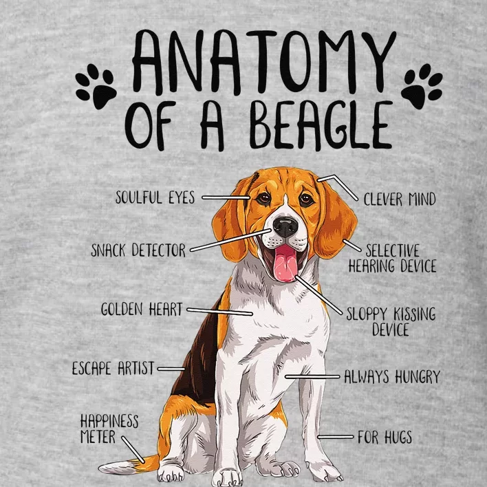 Funny Anatomy Beagle Dog Owner Pet Lover Toddler Sweatshirt