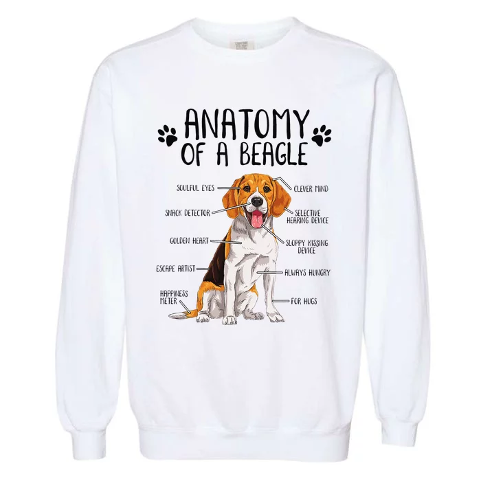 Funny Anatomy Beagle Dog Owner Pet Lover Garment-Dyed Sweatshirt