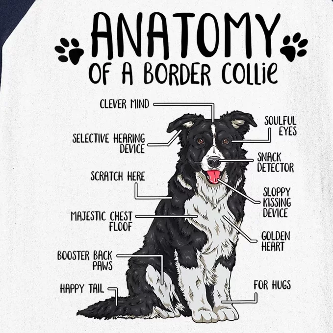 Funny Anatomy Border Collie Dog Lover Gift Baseball Sleeve Shirt