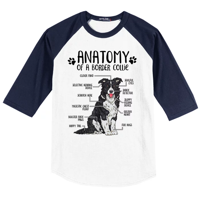 Funny Anatomy Border Collie Dog Lover Gift Baseball Sleeve Shirt