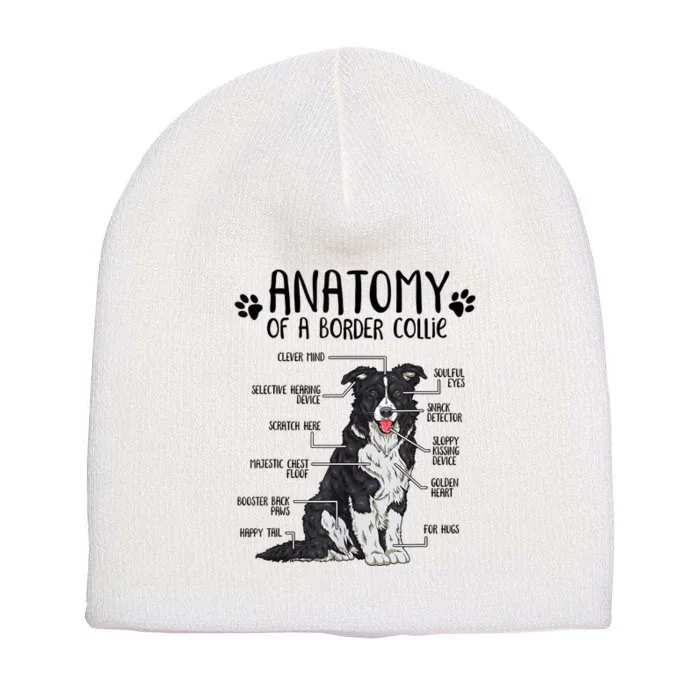 Funny Anatomy Border Collie Dog Lover Gift Short Acrylic Beanie