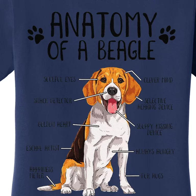 Funny Anatomy Beagle Dog Owner Pet Lover Women's T-Shirt