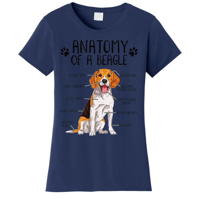 Funny Anatomy Beagle Dog Owner Pet Lover Women's T-Shirt