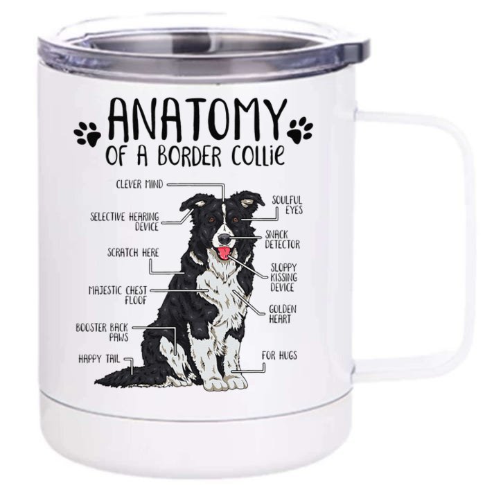 Funny Anatomy Border Collie Dog Lover Gift Front & Back 12oz Stainless Steel Tumbler Cup