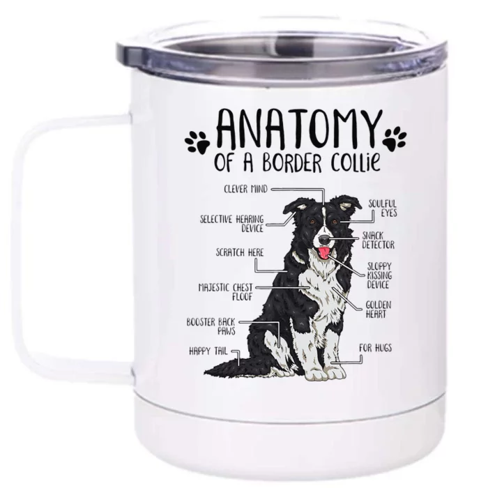 Funny Anatomy Border Collie Dog Lover Gift Front & Back 12oz Stainless Steel Tumbler Cup