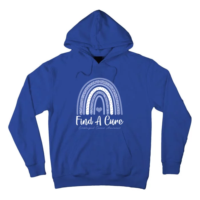 Find A Cure Esophageal Cancer Awareness Day Rainbow Warrior Gift Tall Hoodie