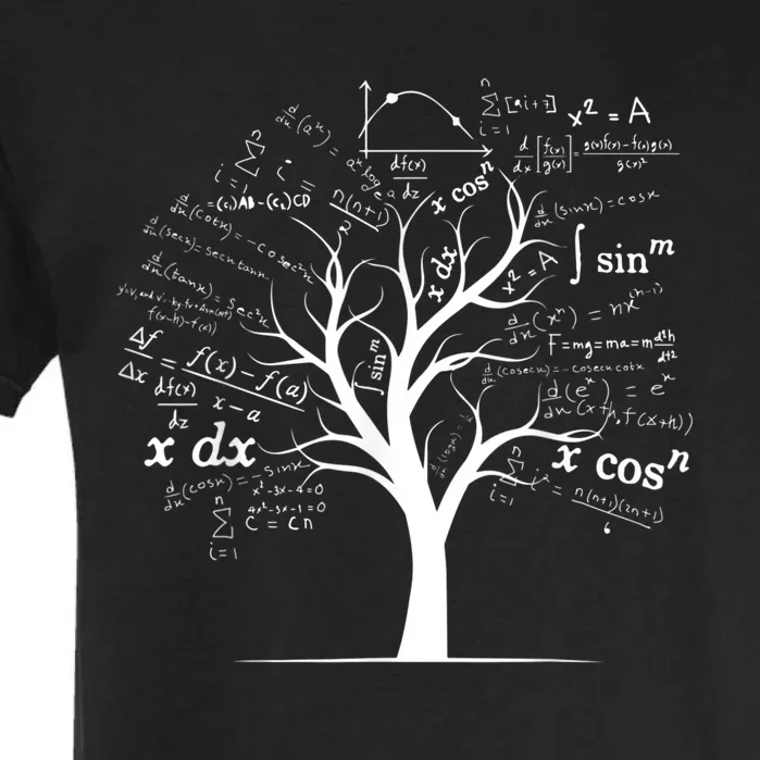 Funny AP Calculus Algebra Tree Math Teacher Nerd Geek Gifts Garment-Dyed Heavyweight T-Shirt