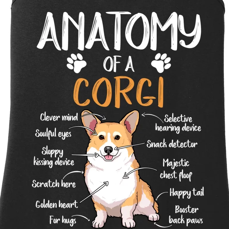 Funny Anatomy Corgi Dog Lover Gift Ladies Essential Tank