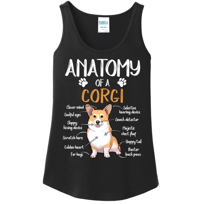 Funny Anatomy Corgi Dog Lover Gift Ladies Essential Tank