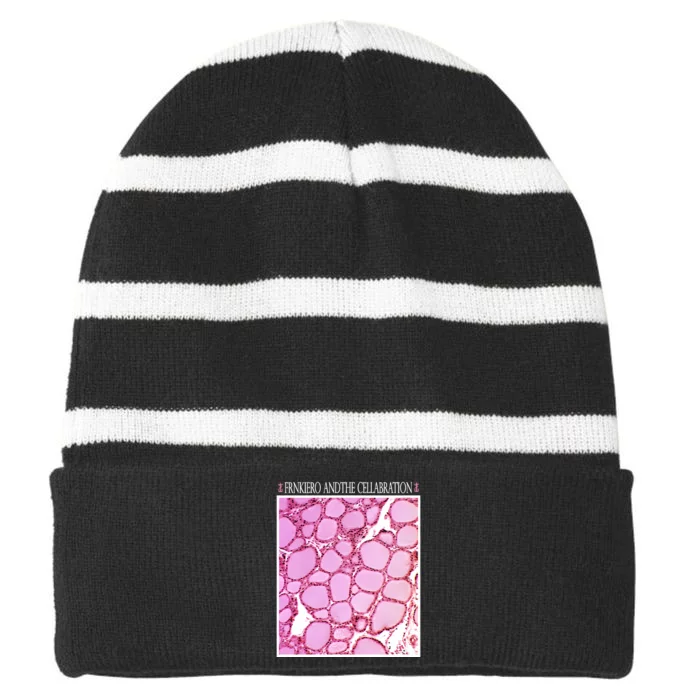 Frnkiero Andthe Cellabration Cells Redux Striped Beanie with Solid Band