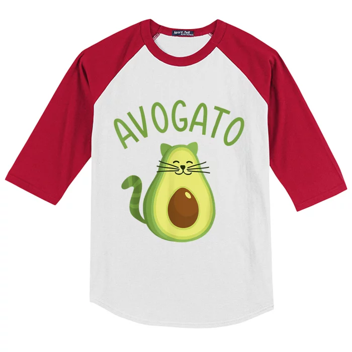 Funny Avogato Cat For Avocado Lover And Cinco De Mayo Kids Colorblock Raglan Jersey