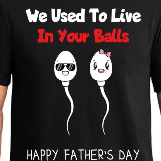 Funny And Fathers Day We Used To Live In Your Balls Meaningful Gift Pajama Set