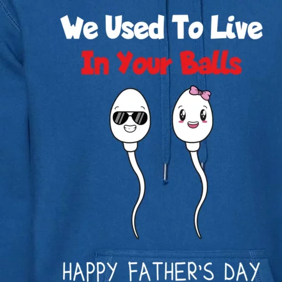 Funny And Fathers Day We Used To Live In Your Balls Meaningful Gift Premium Hoodie