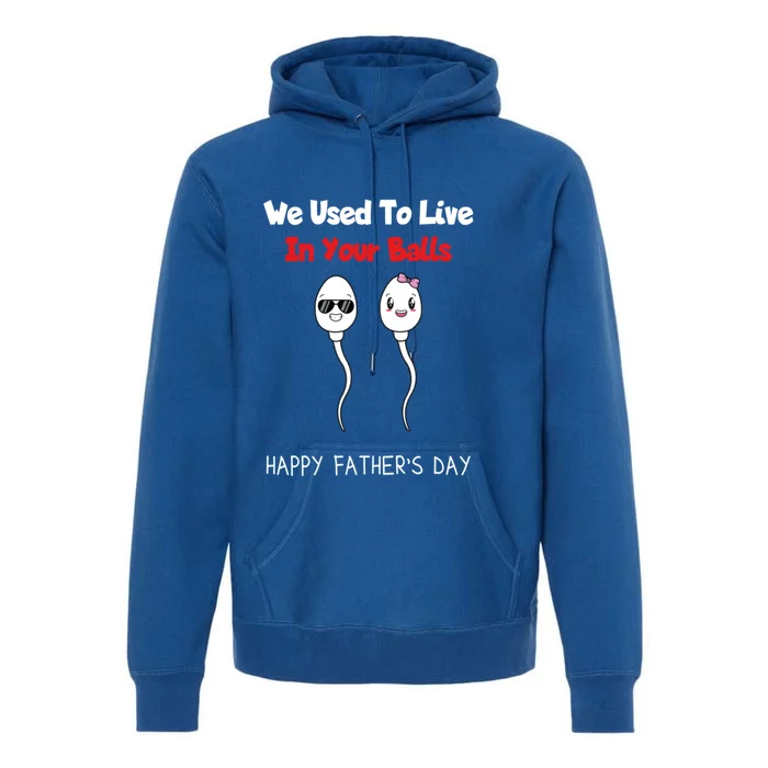 Funny And Fathers Day We Used To Live In Your Balls Meaningful Gift Premium Hoodie