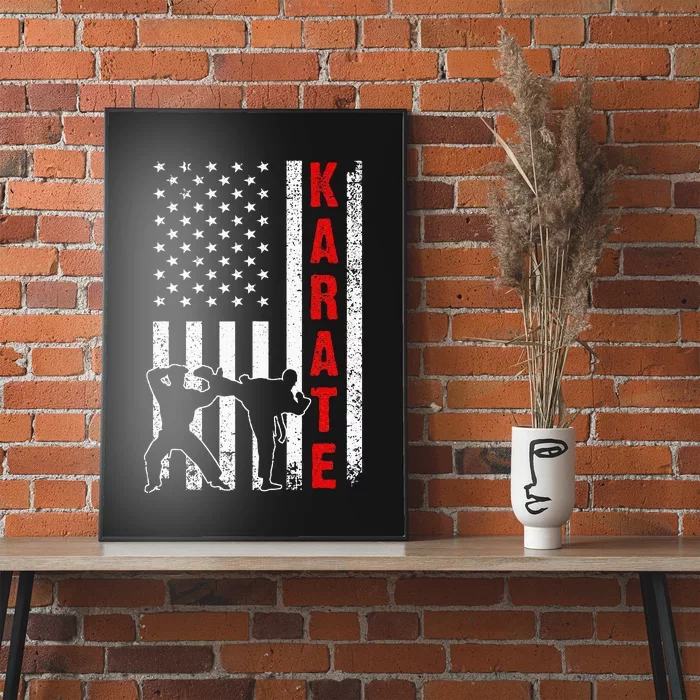 Funny American Flag Karate Poster