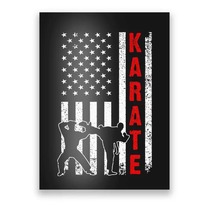 Funny American Flag Karate Poster