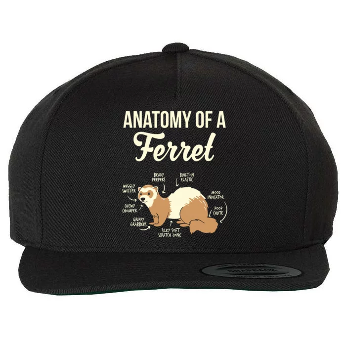 Ferret Anatomy Wool Snapback Cap