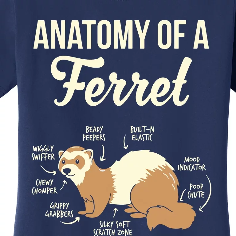 Ferret Anatomy Women's T-Shirt