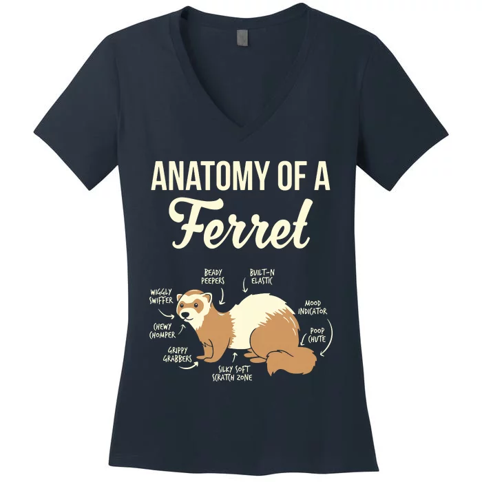 Ferret Anatomy Women's V-Neck T-Shirt