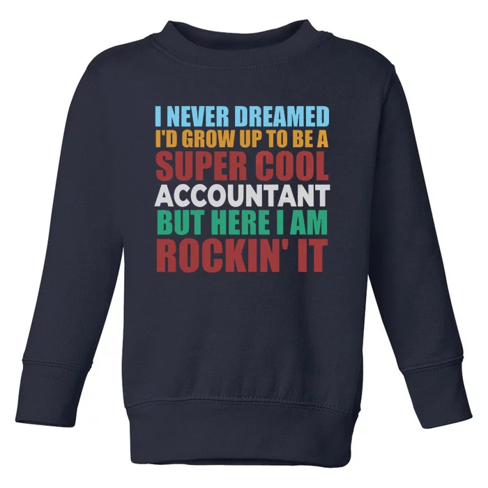 Funny Accountant Gift Accounting Major Bookkeeper CPA Retro Toddler Sweatshirt