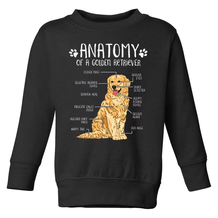 Funny Anatomy Golden Retriever Dog Lover Toddler Sweatshirt