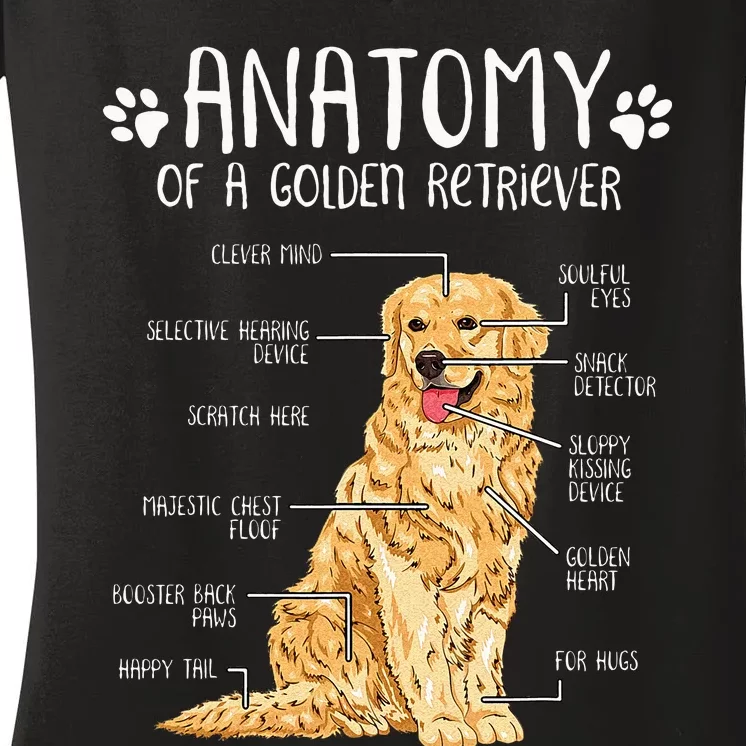 Funny Anatomy Golden Retriever Dog Lover Women's V-Neck T-Shirt