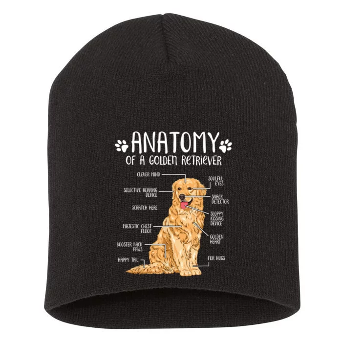 Funny Anatomy Golden Retriever Dog Lover Short Acrylic Beanie