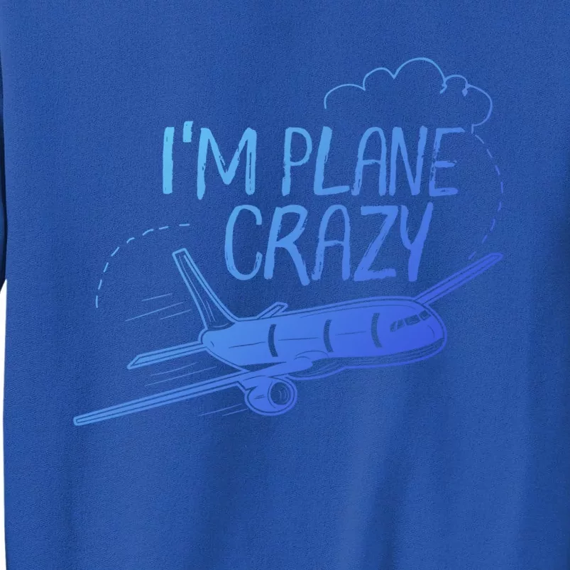 Funny Airplane Gift For Plane Lovers Plane Crazy Cute Gift Tall Sweatshirt