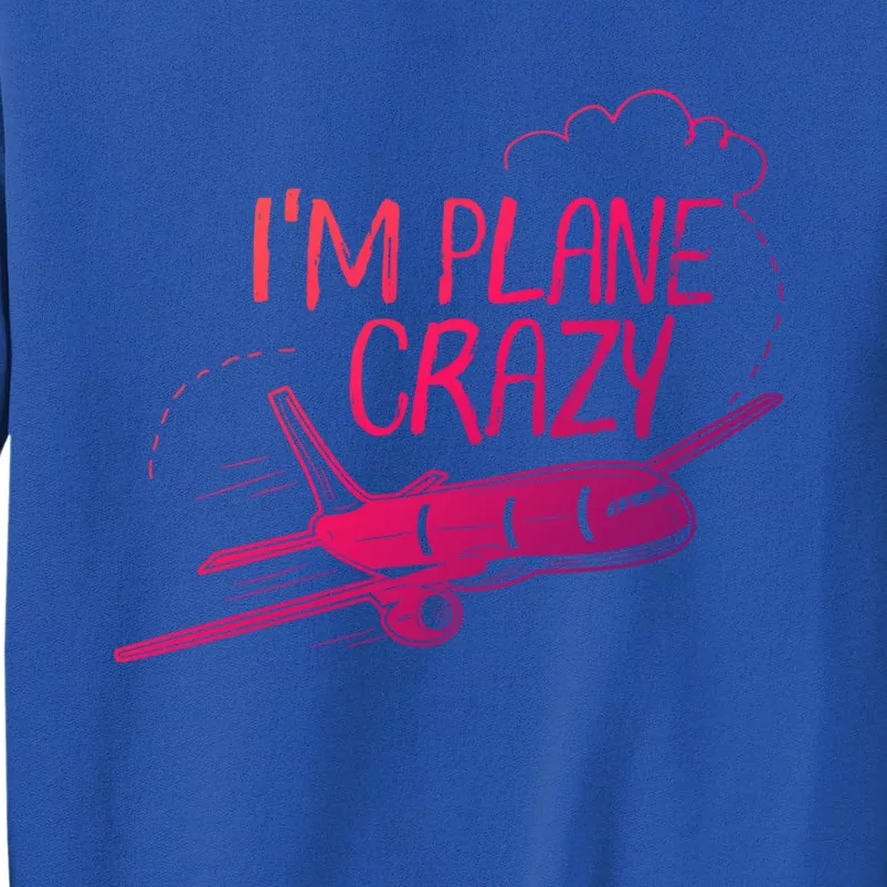 Funny Airplane Gift For Plane Lovers Plane Crazy Cute Gift Sweatshirt