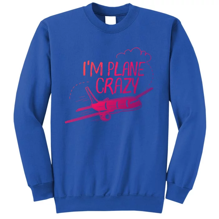 Funny Airplane Gift For Plane Lovers Plane Crazy Cute Gift Sweatshirt