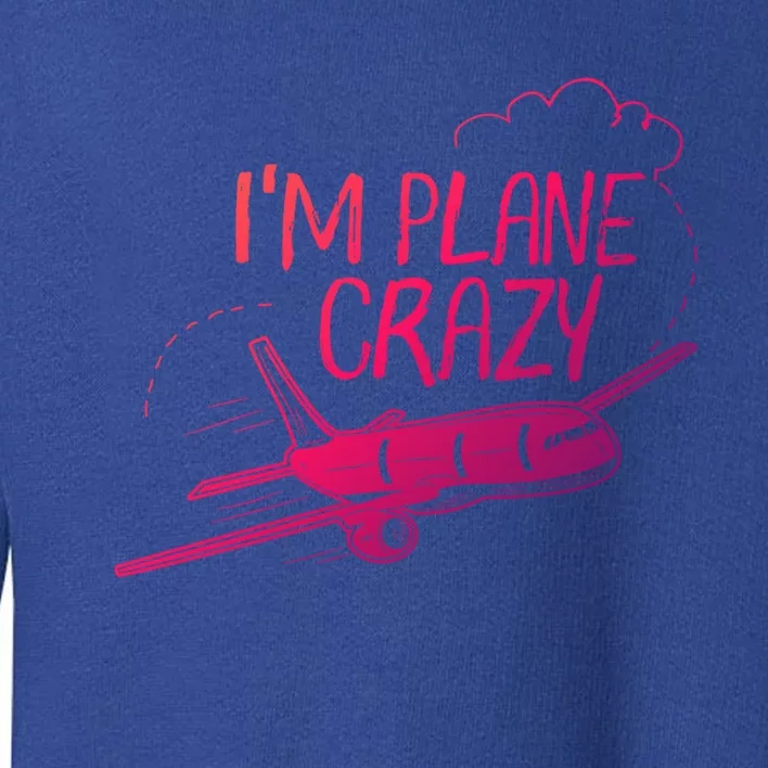 Funny Airplane Gift For Plane Lovers Plane Crazy Cute Gift Toddler Sweatshirt