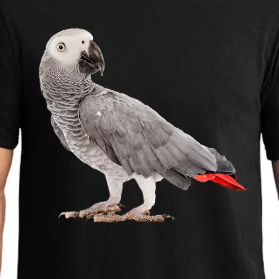 Funny African Grey Parrot Bird Gift Pajama Set