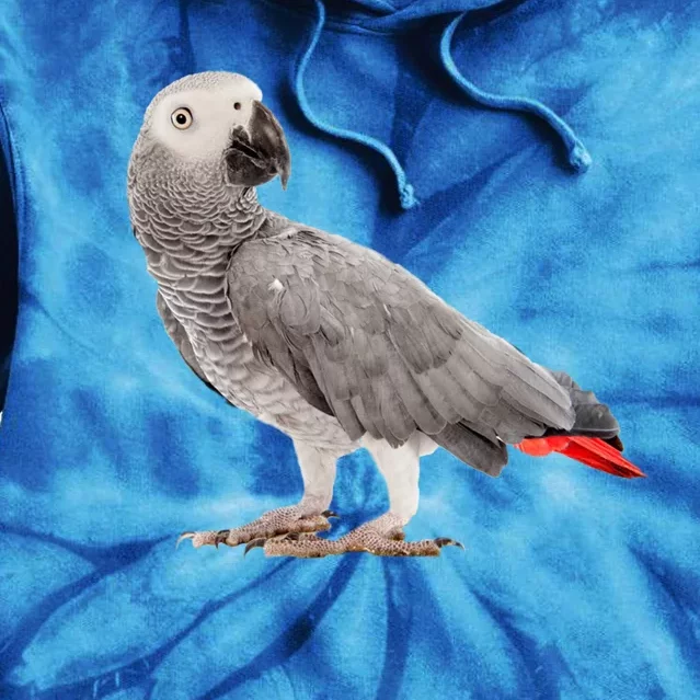 Funny African Grey Parrot Bird Gift Tie Dye Hoodie