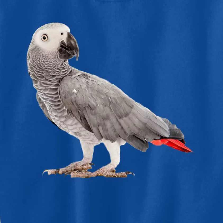 Funny African Grey Parrot Bird Gift Kids Sweatshirt