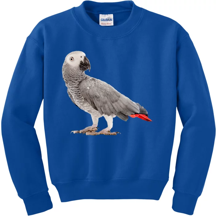 Funny African Grey Parrot Bird Gift Kids Sweatshirt